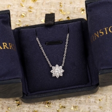 Harry Winston Necklaces